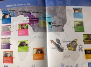peta-sebaran-empat-kera-besar-di-dunia-capture-dari-majalah-great-apes-survival-foto-dok-yp-578740123e23bdb304ec620d