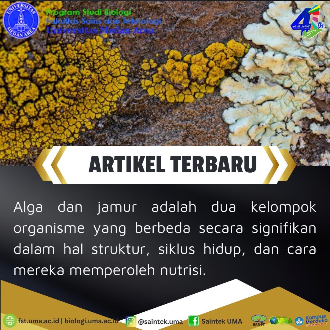 Perbedaan Antara Alga Dan Jamur